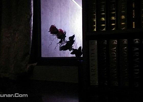 门萨真人密室逃脱（六中店）