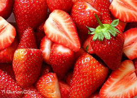 小张生态草莓园