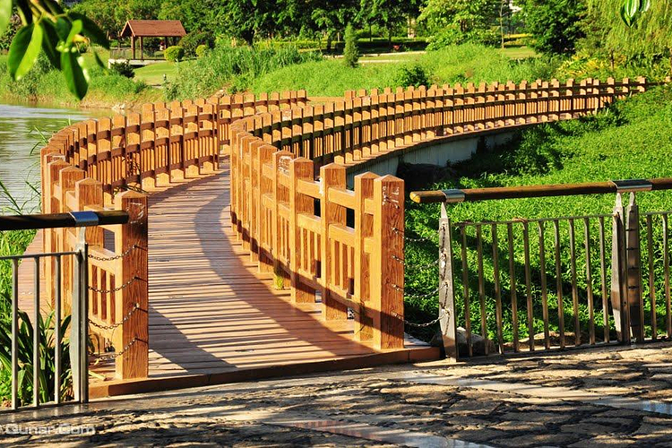 棕榈岛高尔夫球会旅游