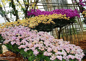 新余今日百花欢乐大世界