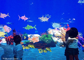 马良画画-水族馆