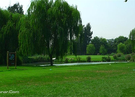 爱尔兰迈克奎德高尔夫俱乐部