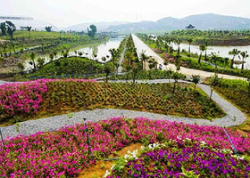 今日百花欢乐大世界