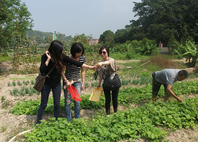 天目山上海之家