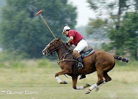 ​贝晶国际马球俱乐部