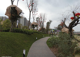 四川.西充北部新城生态广场