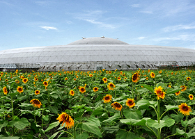 新津田园牧歌农场