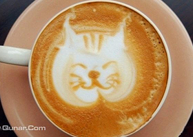 丁喵家Meow Cafe & Bar