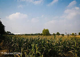 前卫村悠哉农庄