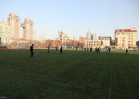 天津塘沽体育场
