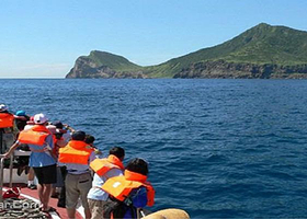 鲸典乌石港赏鲸+环龟山岛