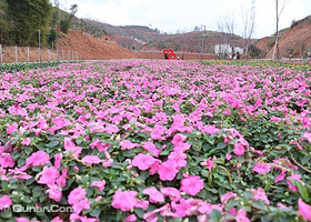 两岸花博生态园