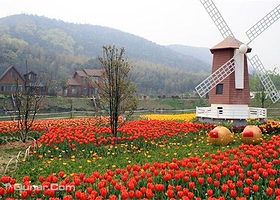 农博园户外烧烤