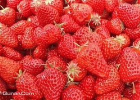 浦东帅帅草莓园