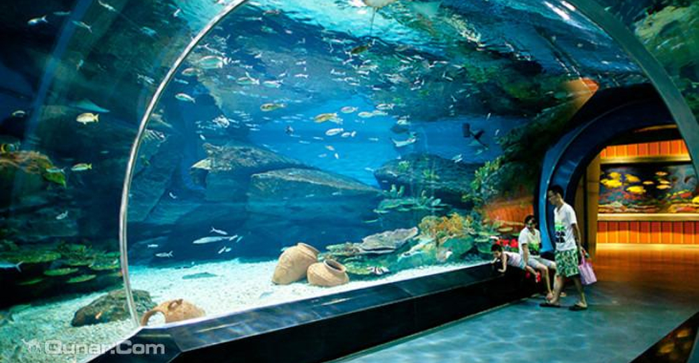 武汉海昌极地海洋公园 海洋萌宠乐园 迷你动物城大学生票