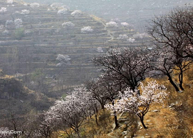 涌泉生态旅游区