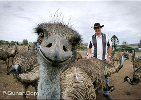 毛里求斯Casela冒险乐园