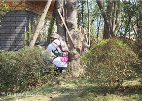 丛林狼真人CS基地