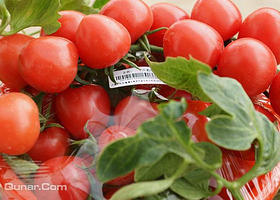 合采农产品专业合作社