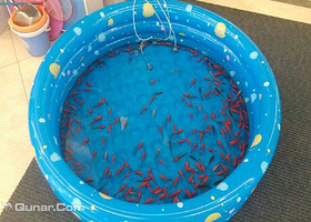 快乐童年儿童手工制作坊