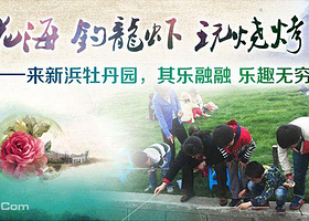 上海新浜牡丹园