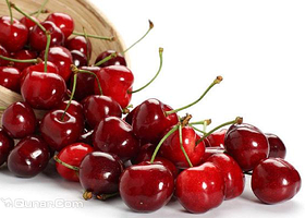 五月红樱桃庄园