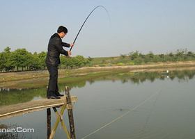 水之灵自然龟鳖养殖家庭农场