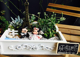 森小花成都首家多肉DIY植物馆