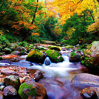 米仓山旅游景区