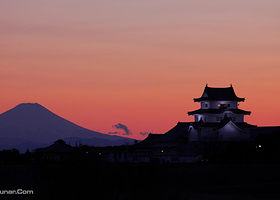 日本7天5G上网卡