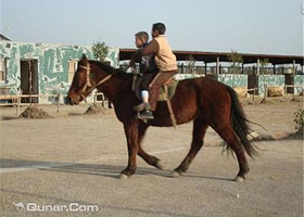 箬横乡村跑马场
