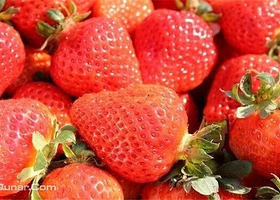 小王奶油草莓采摘园