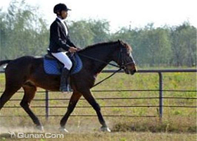 苏州英伦骑士马术运动俱乐部