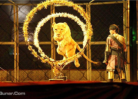 隋唐百戏城国际大马戏