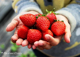 银海草莓采摘园