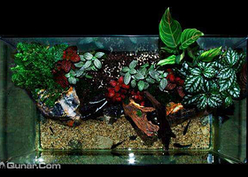 陌上观—手工DIY微景观