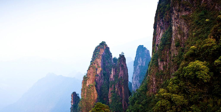 莽山国家森林公园门票,莽山国家森林公园门票预订,莽山国家森林公园