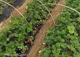 漯河沙澧春天生态园