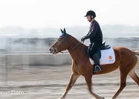 天天向上骑士会