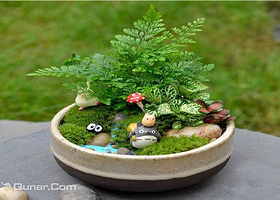 我所遇见的生活DIY