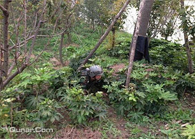 森林狼真人CS拓展(滨江公园分店)