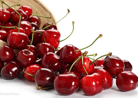 北京义之雄农业园