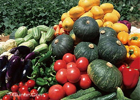 北京绿色生活馆采摘