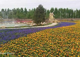 交城瑞景苑立体花卉大观园