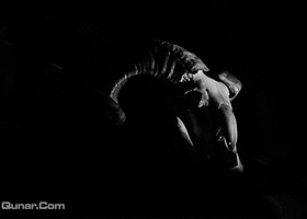 全视之眼密室逃脱俱乐部