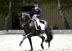 马鞍马术俱乐部