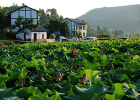 爱莲湖生态湿地公园