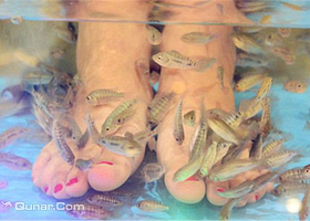 亲亲鱼疗足疗馆