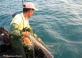 三门出海捕鱼