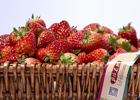 重庆新陆有机农场